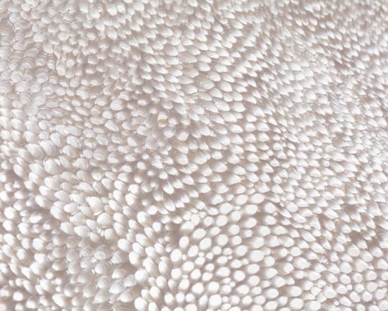 Tomoko Shioyasu, Exhibition View, , Scai The Bathhouse Archive