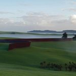 09 serra-and-venet-in-the-mist-gibbs-farm