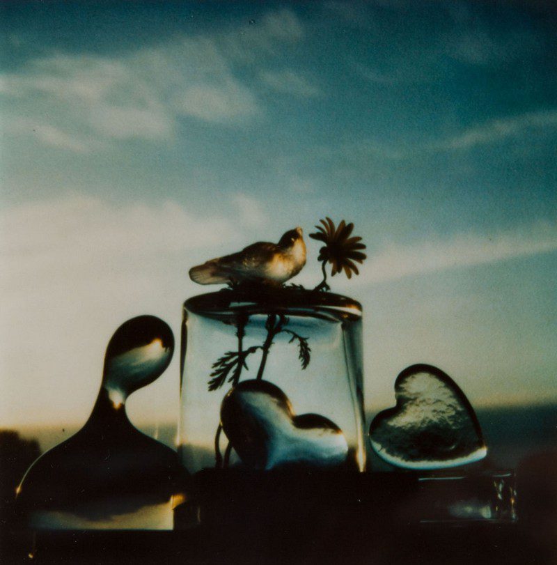 Andre Kertesz Polaroids