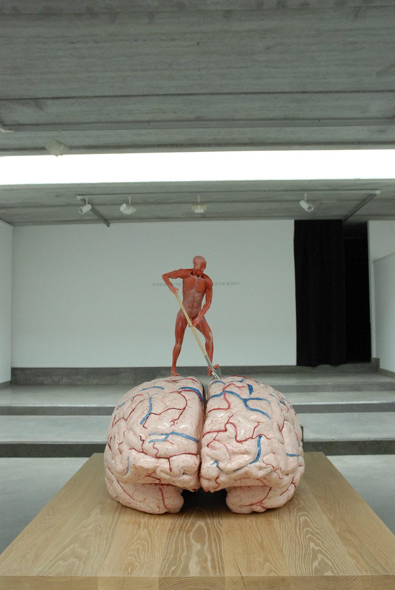 Jan Fabre Antropologie van een planeet (denkmodel) / Anthropology of a planet (thinking model) 2008 medische silicone en pigment, verf, was, hout en metaal / paint on medical silicone, wax, wood and metal ca. 76 h x 80 x 60 cm Courtesy Deweer Gallery, Otegem, Belgium