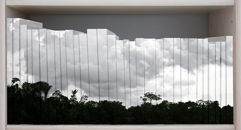 Claudia Jaguaribe, Biblioteca / pantanal, 2008, Courtesy the artist