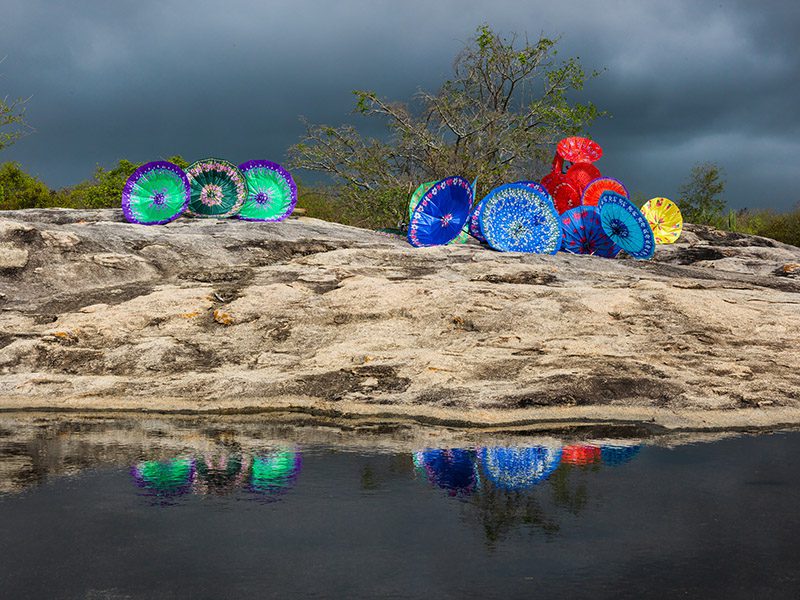 Delson Uchôa, da série Bicho-da-Seda, 2014, © Zipper Galeria