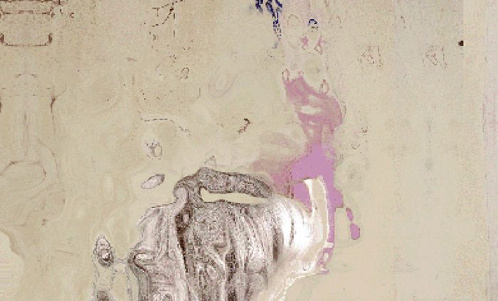 Anders A, modified2 (detail), 2016 © The Artist, Courtesy Moderna Museet Malmö