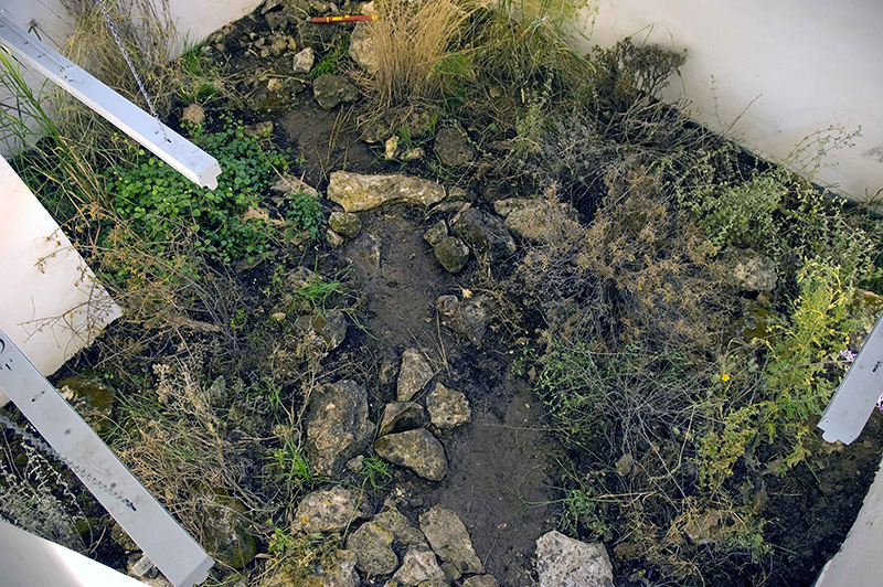 Omer Even-Paz, The-Garden, 2015, Pi Artworks Archive