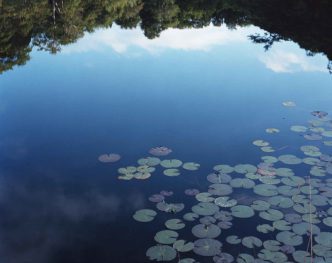 Risaku Suzuki, Water Mirror 15 WM-283, 2015, Christophe Guye Galerie, Paris Photo 2016 Archive