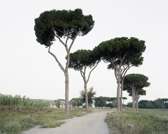 Hans-Christian Schink, Parco degli Acquedotti (1), 2014, Courtesy Robert Morat Galerie, Paris Photo 2016 Archive