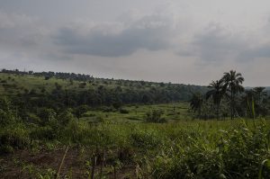 Cercle d’Art des Travailleurs de Plantation Congolaise