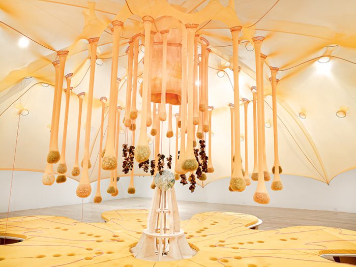 Ernesto Neto, Flower Crystal Power, 2014, Installation View at Gratitude à Aspen Art Museum-Aspen, 2014, Photo: Tony Prikryl, Courtesy the artist and Tanya Bonakdar Gallery, Centre Pompidou-Metz Archive