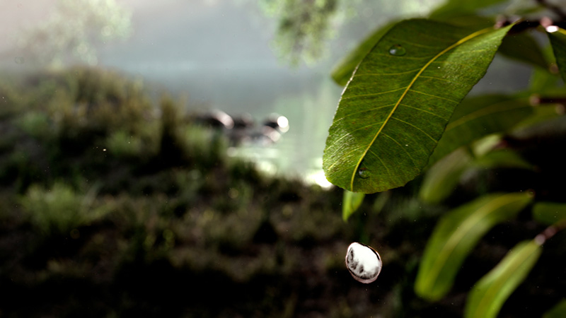 David Claerbout, Travel, 1996–2013, HD color animation, stereo sound, Duration 12’, Courtesy of the artist and galleries Sean Kelly-New York & Esther Schipper-Berlin