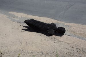 Viviane Sassen: Solitaire, 2014