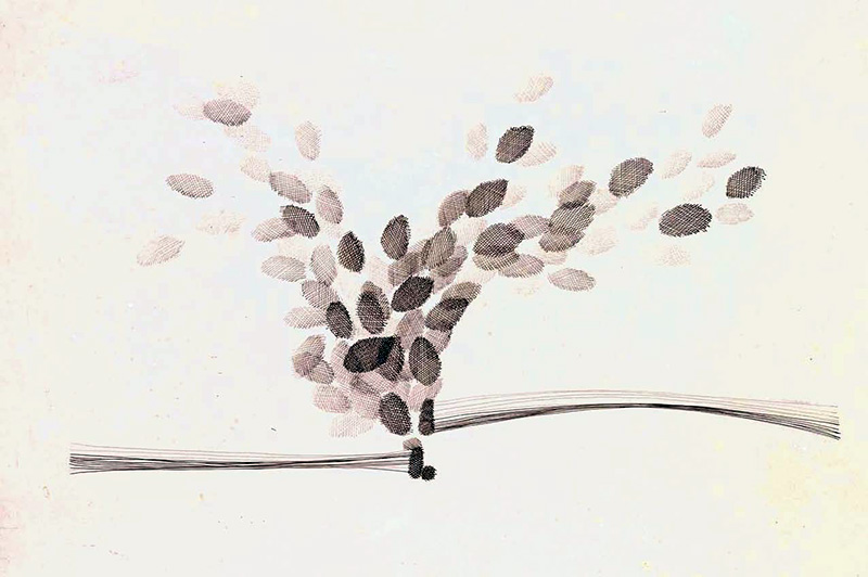 Armando Alves, Pássaros, 1963, Indian ink on cardboard, 69.3 x 100.2 cm, Coll. Museu Nacional de Soares dos Reis, long-term loan to Fundação de Serralves - Museu de Arte Contemporânea de Serralves, Porto. Deposit 1990