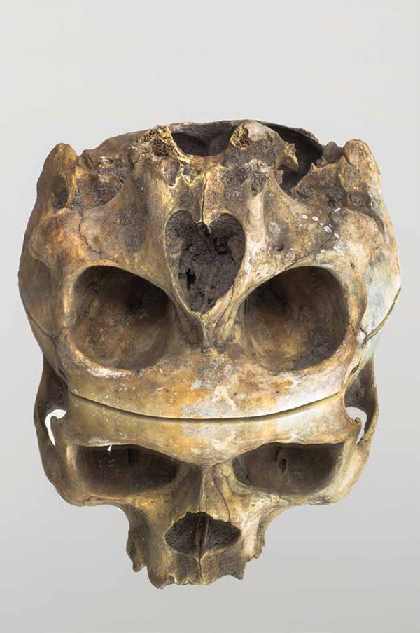 Ktis Martin, Narziss & Goldmund (Detail), 2016, Skull, mirror plinth, 2 parts, 135 x 40 x 40 cm each, Schloss Tüssling Projects Archive