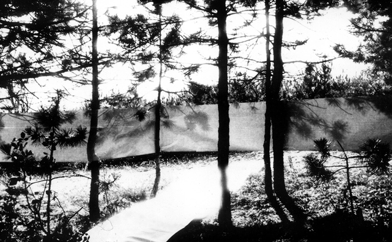 Halász Károly, Kismányoky Károly & Szijártó Kálmán, Landscape experiment, 15 November 1970, Light-blue paper roll span in between trees, land art action, Photograph. © Ludwig Museum – Museum of Contemporary Art