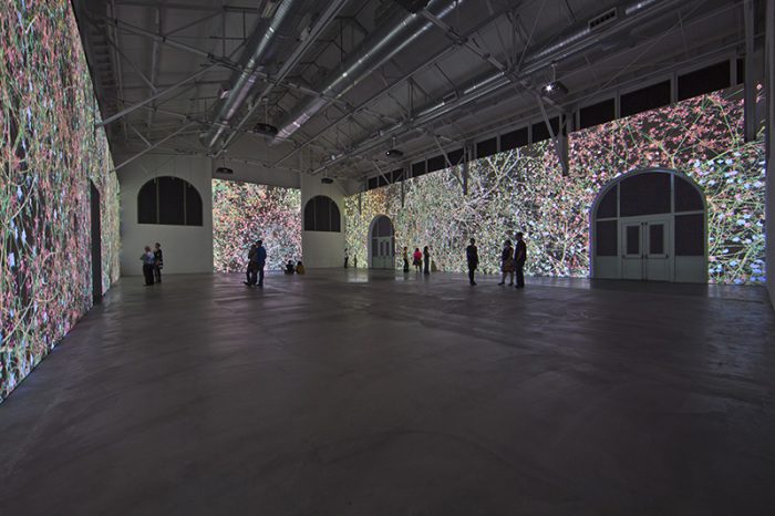 Jennifer Steinkamp, Madame Curie, 2011, Seven-channel, synchronized projection, Dimensions variable, Photo: Robert Wedemeyer, Collection Museum of Contemporary Art San Diego, Museum purchase with funds provided by Joan and Irwin Jacobs, 2011.1