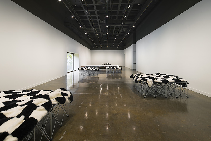 Heimo Zobernig, Chess Painting, Installation View at MIT List Visual Arts Center, 2017, Photo: Peter Harris