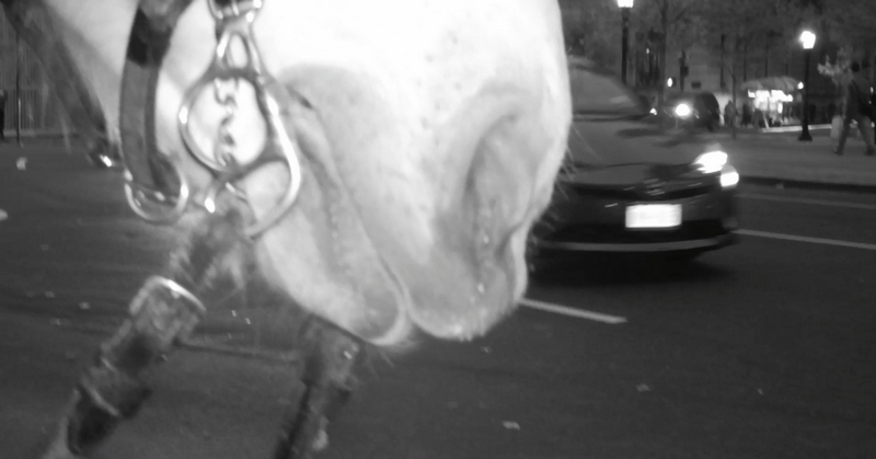 Maja Čule, Mouth (Video Still), 2017, © Maja Čule, Courtesy the artist and Arcadia Missa