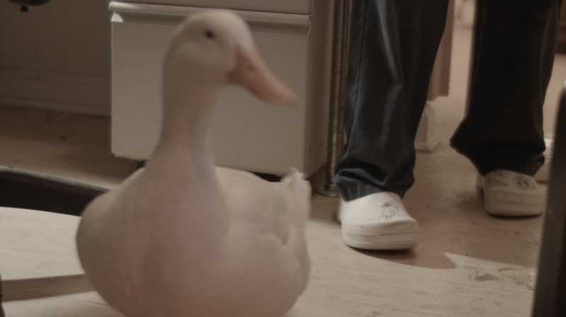 Maja Čule, Early Modern Men (Video Still), 2017, © Maja Čule, Courtesy the artist and Arcadia Missa
