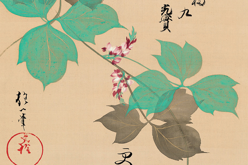 酒井抱一筆 外山光實賛 月に葛花図 (Detail), Painting by Sakai Hōitsu (1761–1828) Inscription by Toyama Mitsuzane (1756–1821) Moon and Kudzu Vine, Edo period (1615–1868), probably ca. 1820 Hanging scroll; ink and color on silk, 92 x 34.7 cm, Ex coll. Manno Art Museum-Osaka, Fishbein-Bender Collection, Photo: John Bigelow Taylor