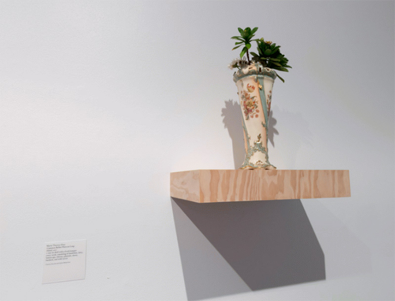 Maria Thereza Alves, Seeds of Change: New York - A Botany Colonization, Exhibition view at Michel Rein Gallery, 2018, Courtesy the artist and Michel Rein-Paris/Brussels, © Florian Kleinefenn