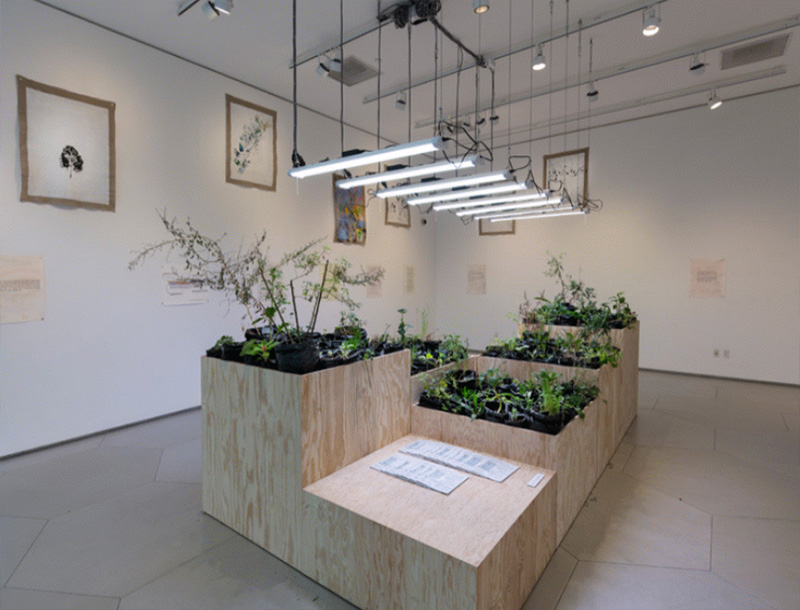 Maria Thereza Alves, Seeds of Change: New York - A Botany Colonization, Exhibition view at Michel Rein Gallery, 2018, Courtesy the artist and Michel Rein-Paris/Brussels, © Florian Kleinefenn