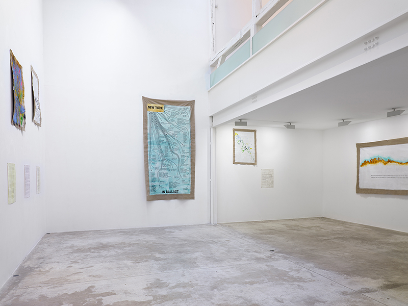 Maria Thereza Alves, Seeds of Change: New York - A Botany Colonization, Exhibition view at Michel Rein Gallery, 2018, Courtesy the artist and Michel Rein-Paris/Brussels, © Florian Kleinefenn