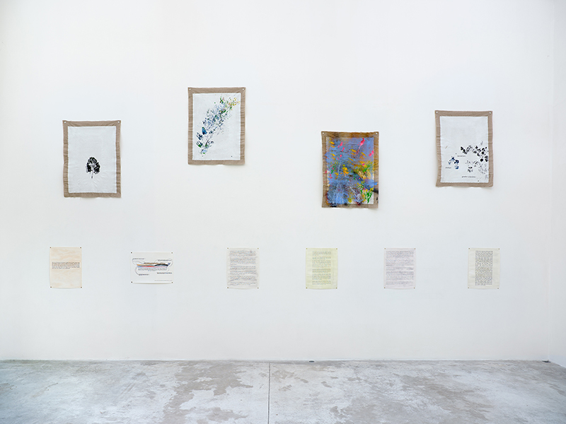 Maria Thereza Alves, Seeds of Change: New York - A Botany Colonization, Exhibition view at Michel Rein Gallery, 2018, Courtesy the artist and Michel Rein-Paris/Brussels, © Florian Kleinefenn