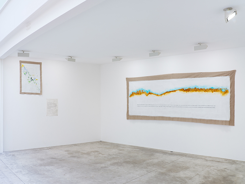 Maria Thereza Alves, Seeds of Change: New York - A Botany Colonization, Exhibition view at Michel Rein Gallery, 2018, Courtesy the artist and Michel Rein-Paris/Brussels, © Florian Kleinefenn