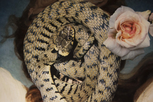 Nottingham Contemporary