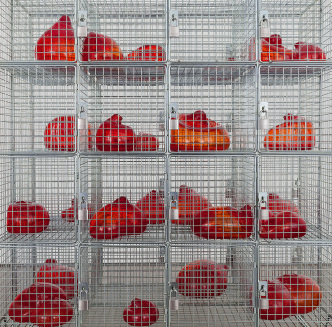Mona Hatoum, Cells, 2014 (detail), Zinc-plated steel and hand-blown glass, 136 x 121 x 65.5 cm, © Mona Hatoum, Photo: Joerg Lohse, Courtesy of the artist and Alexander and Bonin-New York