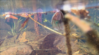 Karrabing Film Collective, Mermaids: Mirror Worlds (production still), 2017, Courtesy Van Abbemuseum