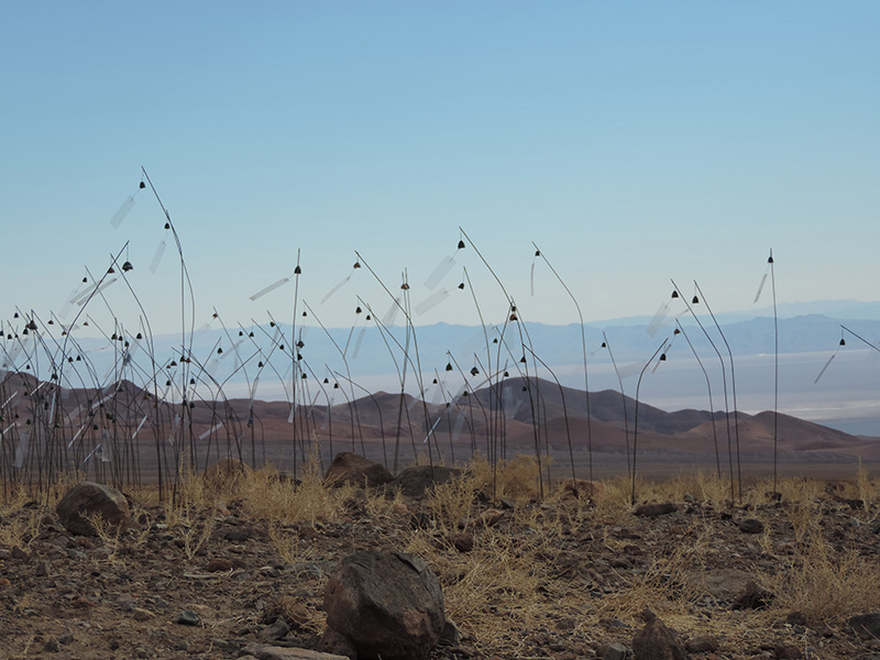 Christian Boltanski Animitas 2014, © Adagp-Paris, 2018, © Louis Vuitton © Madeline Hurtado, Courtesy Fondation Louis Vuitton