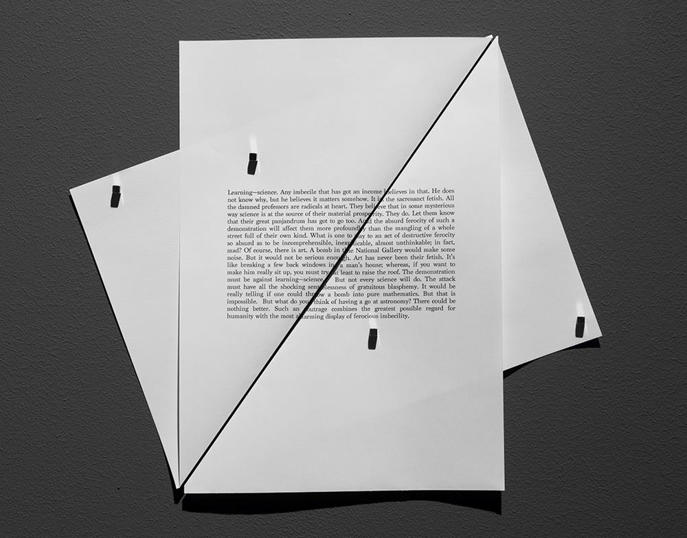 Pedro Gómez-Egaña, The Common Ancestor (Detail), 2018, Installation, © Pedro Gómez-Egaña, Courtesy the artist and Zilberman Gallery-Istanbul/Berlin