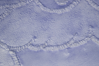 Daniel Arsham, Cookie Monster Patch (Purple) [Detail], 2018, Plaster, metal, paint, 114.3 × 123.2 × 5,1 cm, Photo: Guillaume Ziccarelli, Courtesy Perrotin