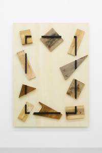 tomio koyama
