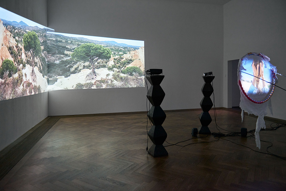 Raphaela Vogel, Installation view, Ultranackt, view on Fruit of the Hoop, 2018, Kunsthalle Basel 2018. Photo: Philipp Hänger / Kunsthalle Basel