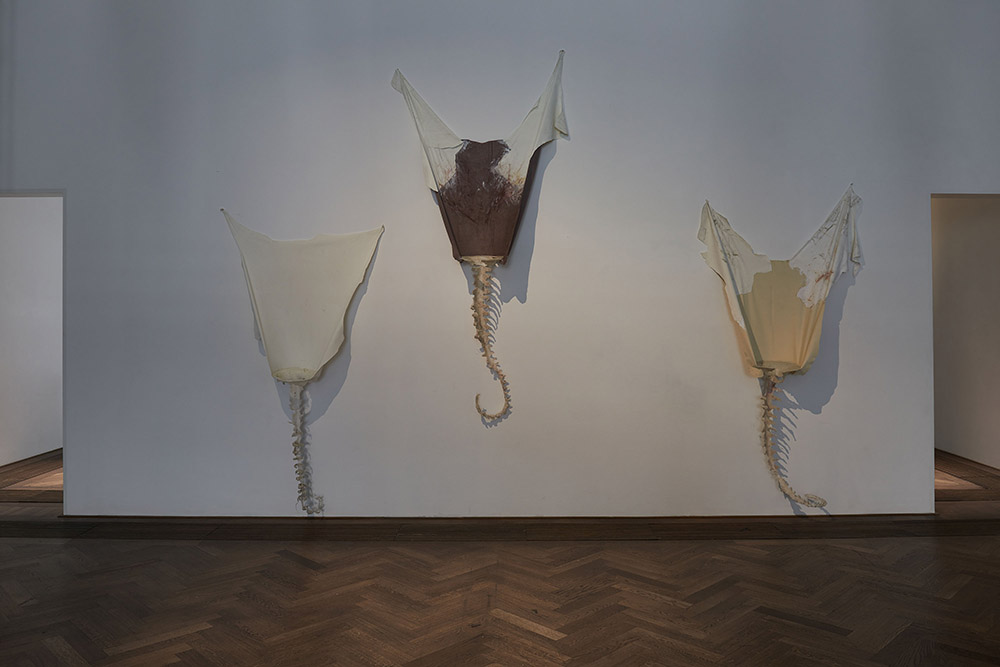 Raphaela Vogel, Installation view, Ultranackt, view f.l.t.r. on Heidi, Vreni, and Alma, all 2018, Kunsthalle Basel, 2018, Photo: Philipp Hänger / Kunsthalle Basel