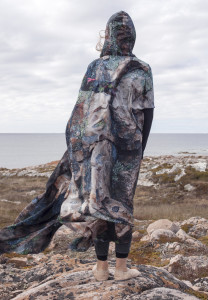 fogo islands