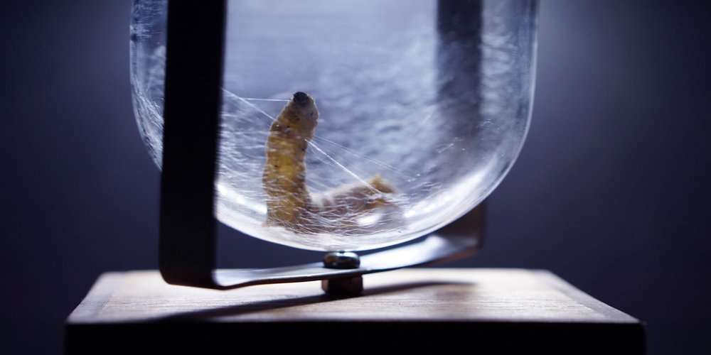 Vivian Xu, Silkworm Project 2016 - Spinning in 3D, 2016, Silkworm spinning in the horizontal spinning machine, Courtesy the artist