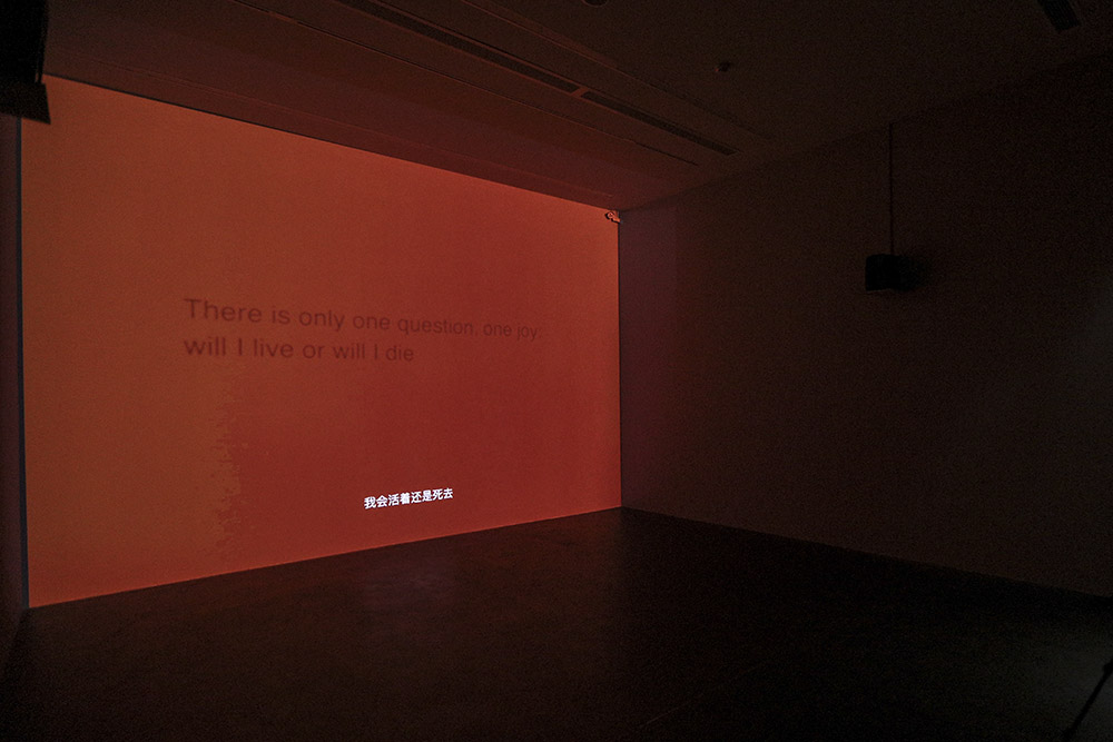 Installation view New Directions: Yang Luzi, UCCA-Beijing 2018, Courtesy Ullens Center For Contemporary Art (UCCA)