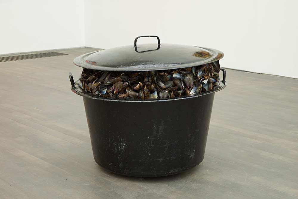 Marcel Broodthaers, Grande Casserole de Moules, 1966, Metal, mussel shells, paint, wood, glass, Collection Vrienden v/h S.M.A.K. acquired in 2001