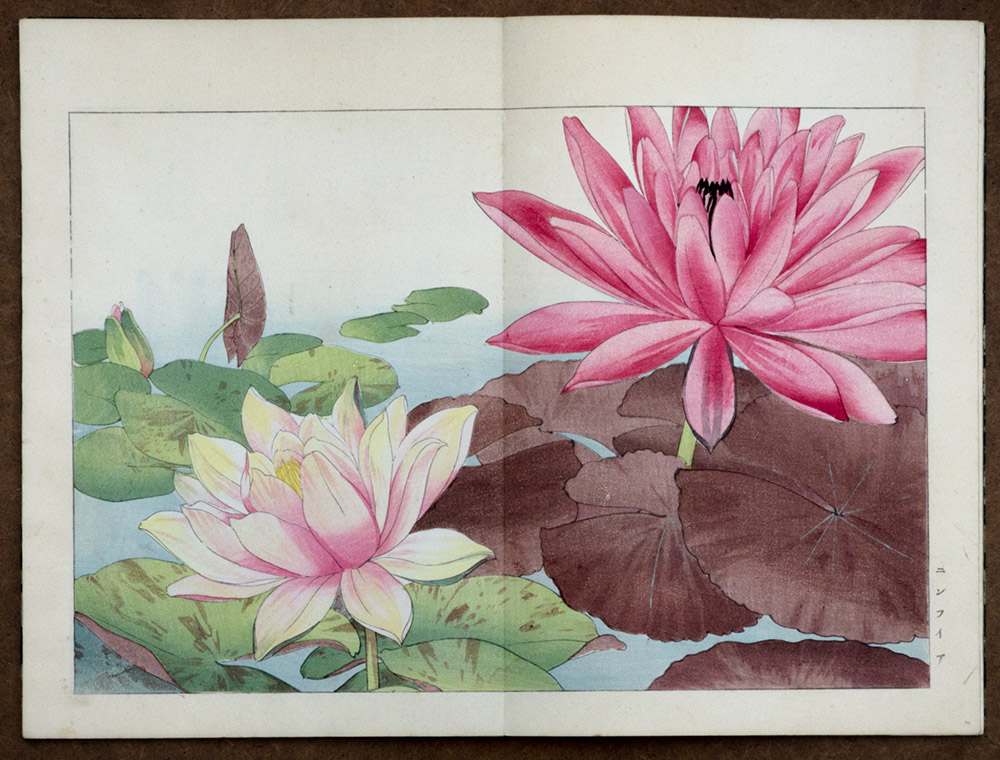 Konan Tanigami, Seiyo Kusabana Zufu, 1916, 5 vols, Kyoto, Image Courtesy George Loudon Collection, Photo: Rosamond Purcell