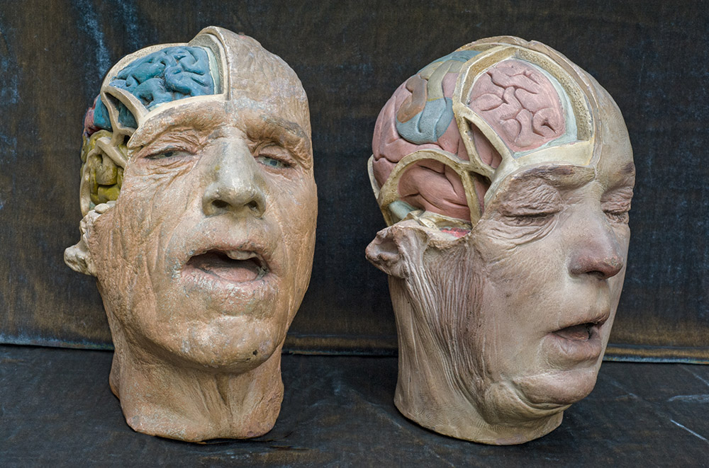Casciani and Sons, Two plaster medical heads, 19th Century, Left: 25 x 17 x 22 cm, Right: 25 x 16 x 25 cm, Dublin, Image Courtesy George Loudon Collection, Photo: Rosamond Purcell