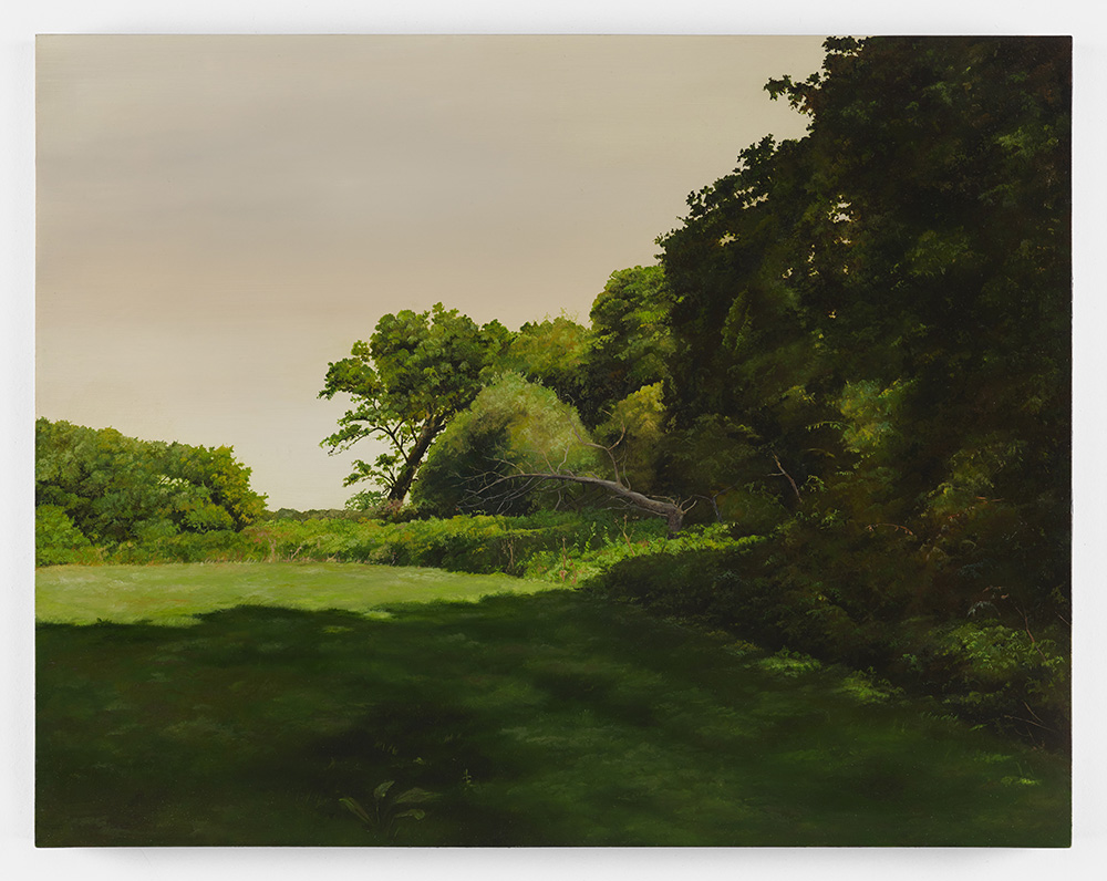 Hannah Brown, The field next to Tesco that is soon to be built on, 1, 2016-17, Oil paint on marine plywood and oak, 36 × 46 × 2 cm, Photo: Anna Arca, Courtesy the artist