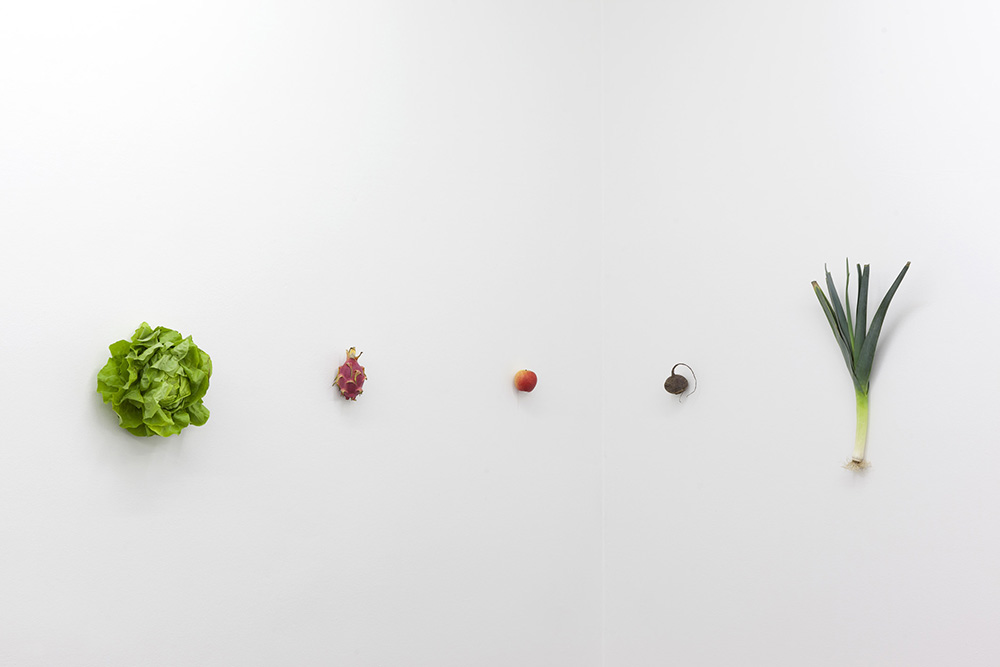 Karin Sander, Kitchen Pieces, 2012, courtesy the artist and Galerie Barbara Gross-Munich, Photo: © Wilfried Petzi
