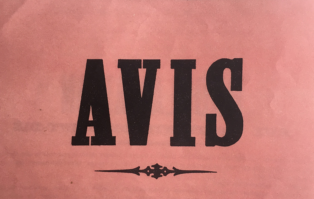 Ana Jotta, Poster, 2018, Courtesy the artist