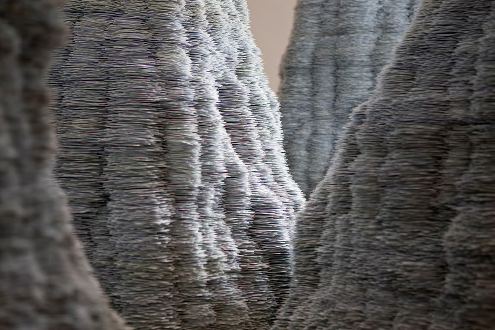 Tara Donovan-Fieldwork