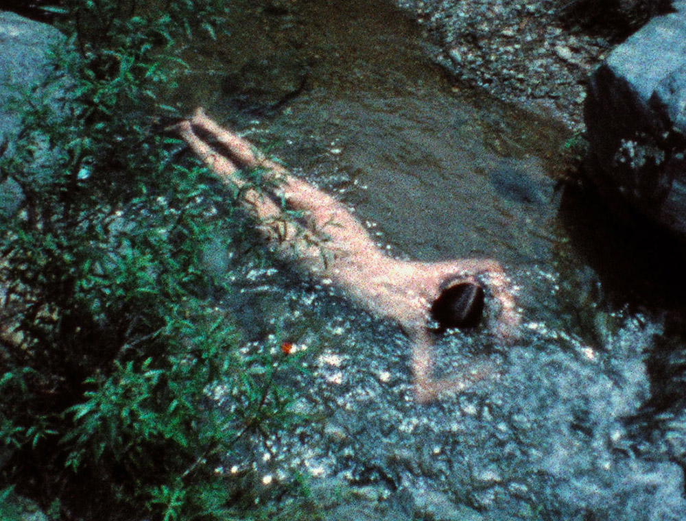 Ana Mendieta-Covered in Time and History