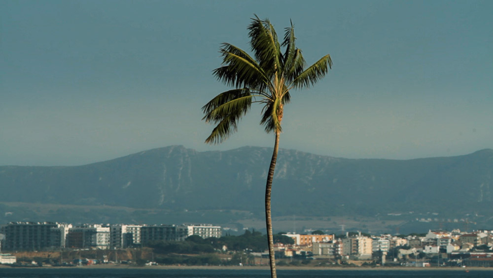 Group Exhibition, The Reconfigured Landscape