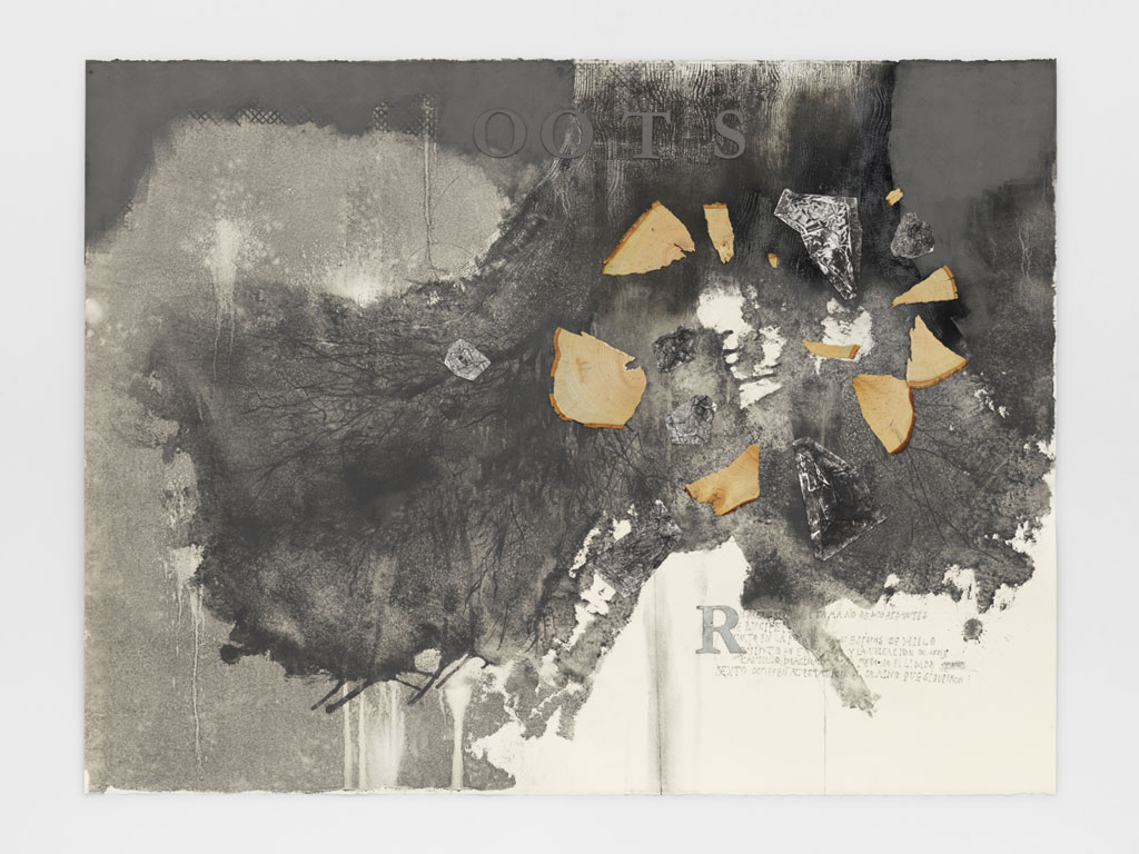 Ricardo Brey, Roots, 2017, Mixed media on paper, 120h x 160w cm, © Ricardo Brey, Courtesy the artist and Alexander Gray Associates Gallery-New York