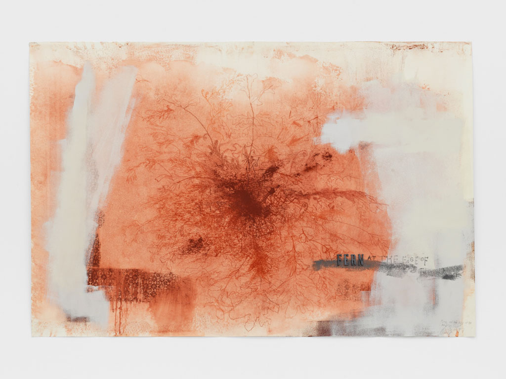 Ricardo Brey, Fern at the edge of the road, 2017, Mixed media on paper, 73h x 110w cm, © Ricardo Brey, Courtesy the artist and Alexander Gray Associates Gallery-New York